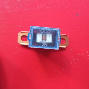 FUSIBLE PAL 48 JAPONES 100A L - Imagen 1